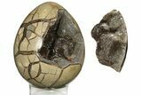 Septarian Dragon Egg Geode - Removable Section #191399-2